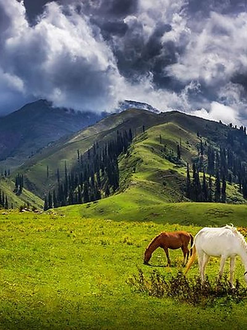 Naran & Kaghan