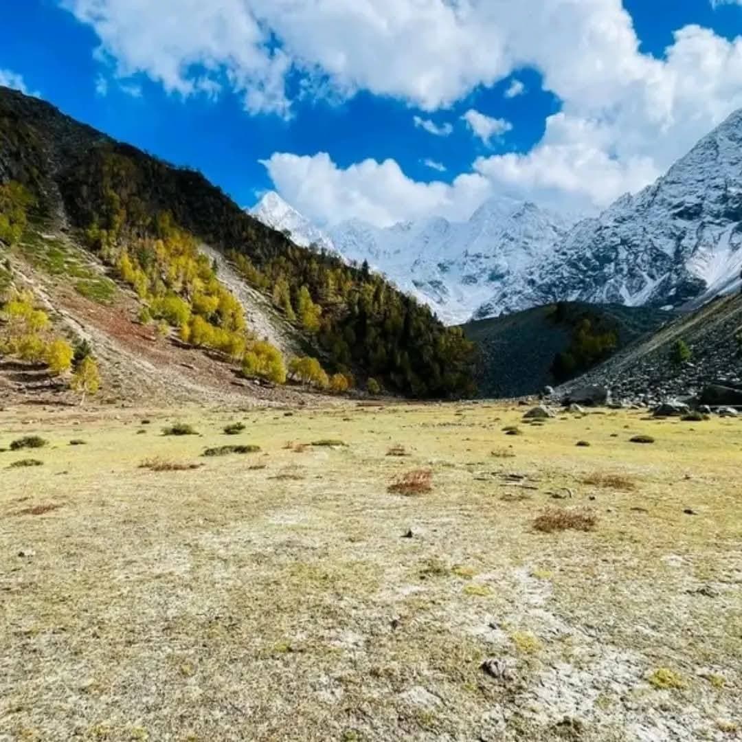 Fairy Meadows 4 Days — Peshawar → Chilas → Raikot → Fairy Meadows → back
